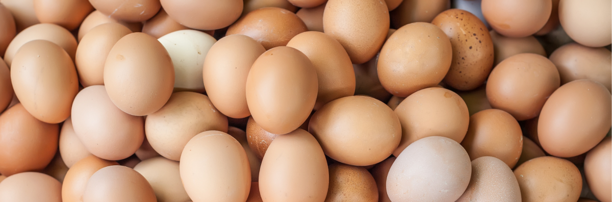 Food Service Retail Food Safety Food Service Retail Food Safety